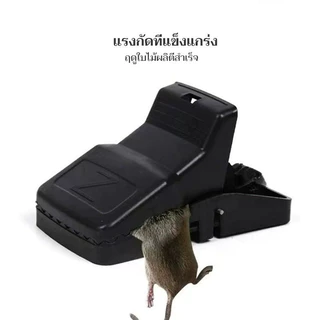 กับดักหนู ไม่ต้องใช้สารเคมี คลิปกับดัก ดักหนูนา อุปกรณ์ดักหนู ใช้ซ้ำได้ ความไวสูง mouse traps