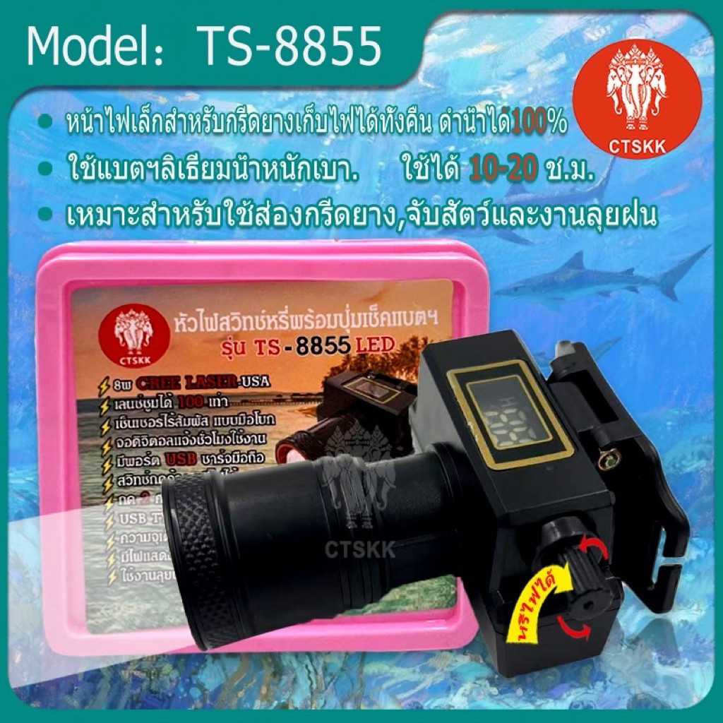Thumbnail 7