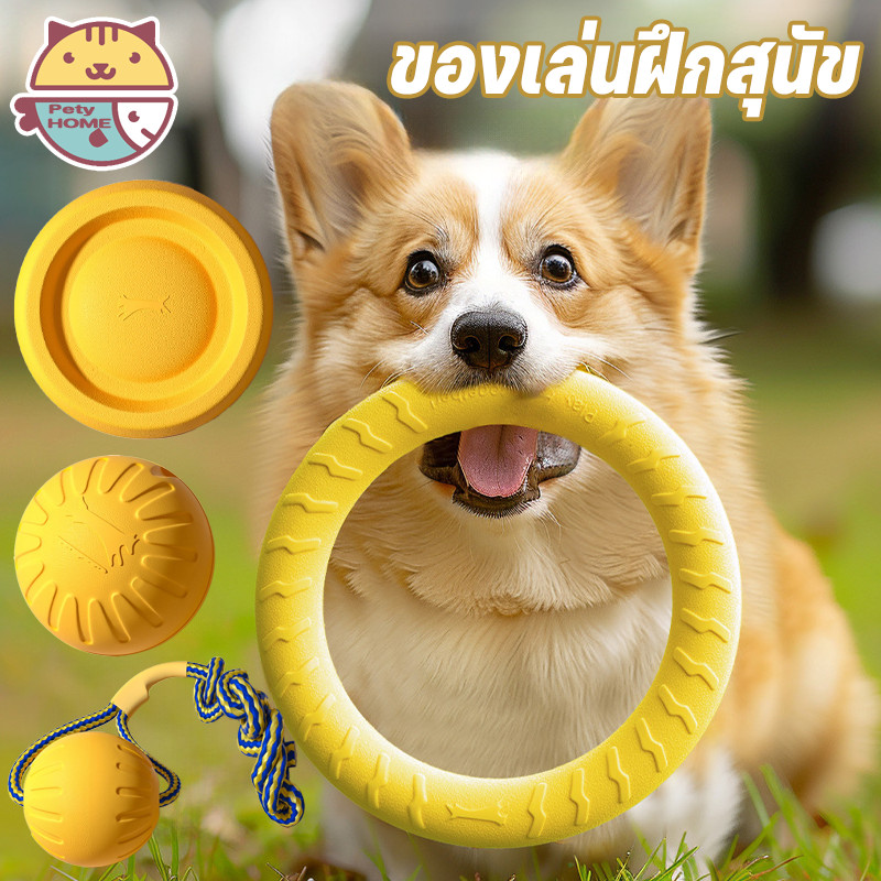 พร้อมส่ง🐶ของเล่นหมา จานร่อน ของเล่นลูกบอล แบบโต้ตอบ จานบิน ความเหนียวสูง ทนทาน ของเล่นฝึกสุนัข