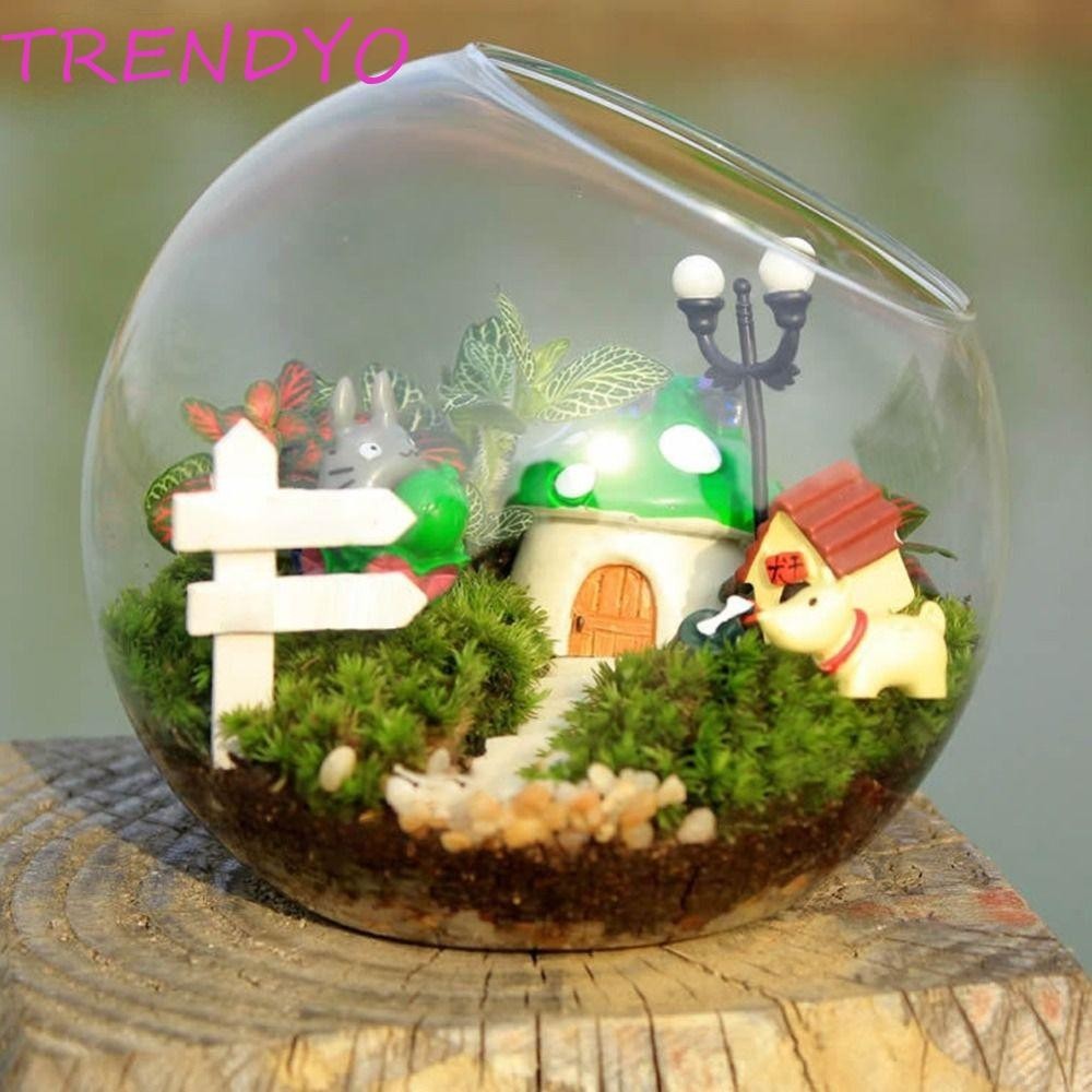 Trendyo แจกันบอลแก้วใส, แจกันแก้ว Borosilicate โปร่งใสเฉียง, กระถางดอกไม้ 8/10/12/16 ซม. แก้ว Borosilicate ใส Succulents คอนเทนเนอร์พืช Hydroponics