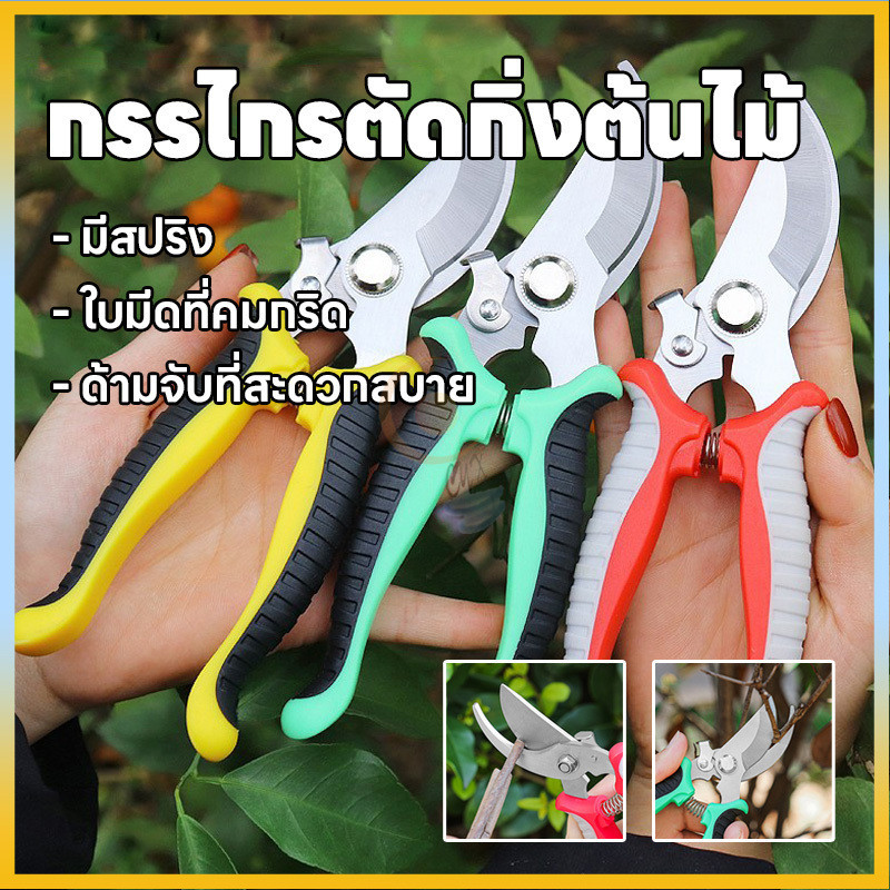 กรรไกรตัดกิ่งไม้ กรรไกรแต่งกิ่งปากโค้ง กรรไกรทำสวน มีหลายสีให้เลือก กรรไกรตัดกิ่ง แบบสเตนเลส