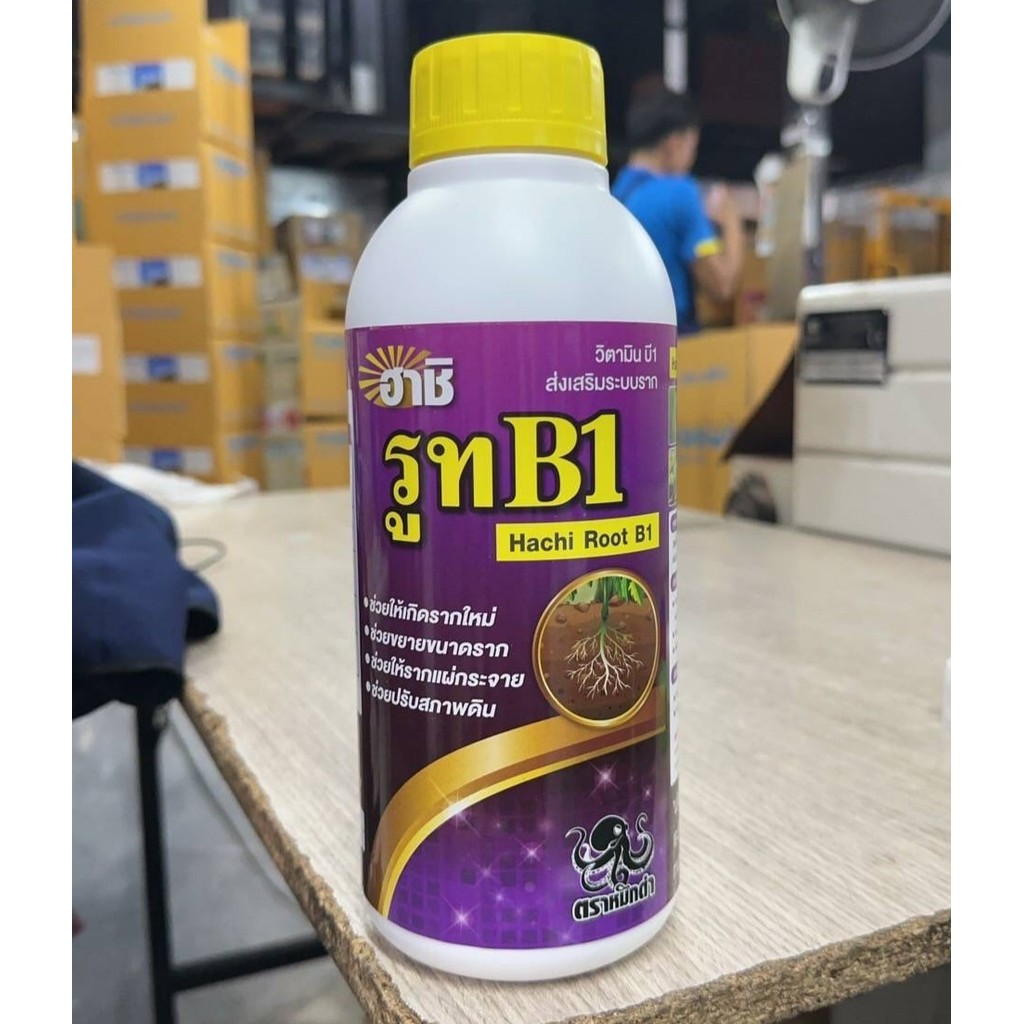 รูท B1 (เร่งราก)สูตรเร่งรากเป็นสารอาหารสูตรเฉพาะเสริมสร้างการเติบโตจองรากขยายรากใหม่ ทำให้รากแข็งแรง