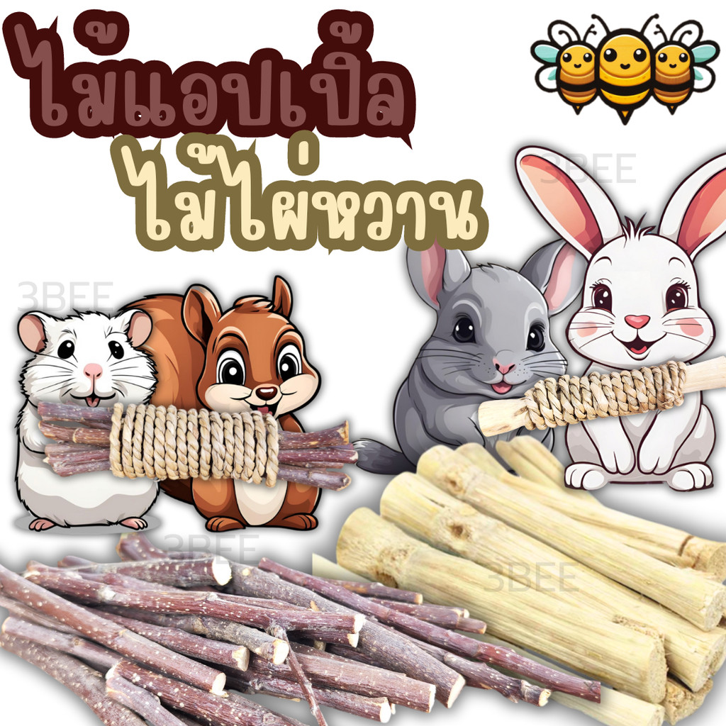 3B ไผ่หวาน ไม้แอปเปิ้ล ไม้ลับฟัน