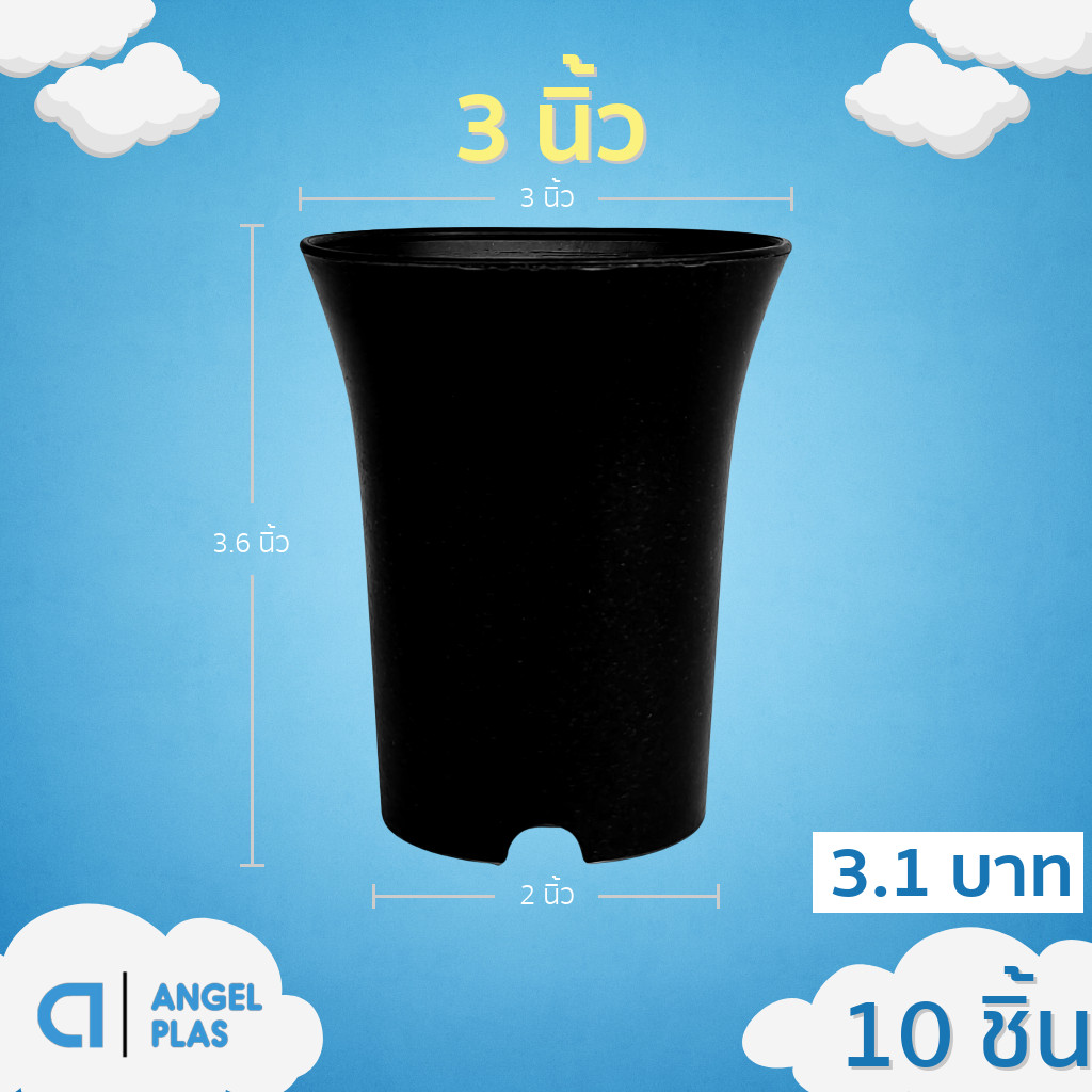 กระถางปากแตร กระถาง กระถางไม้กราฟ ทรงสูง 3 นิ้ว 10 ใบ สีดำ ยกมัด