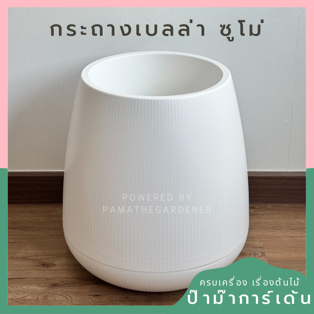 กระถางเบลล่า ทรงซูโม่ ขนาด 12 นิ้ว สูง 50 ซม กระถางทรง มินิมอล