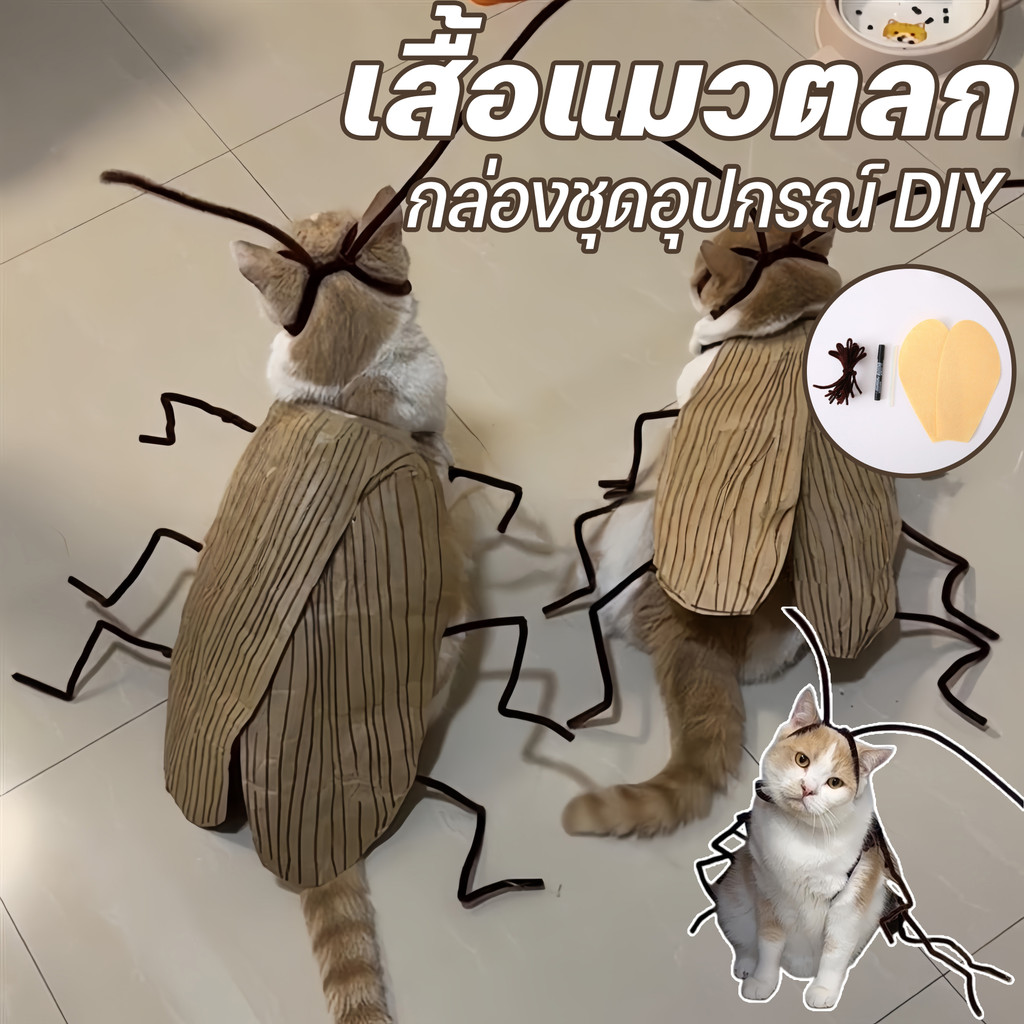 COD เสื้อผ้าแมว เสื้อผ้าสัตว์เลี้ยงแมลงสาบ เสื้อผ้าตลก กล่องชุดอุปกรณ์ DIY สวมใส่สบาย