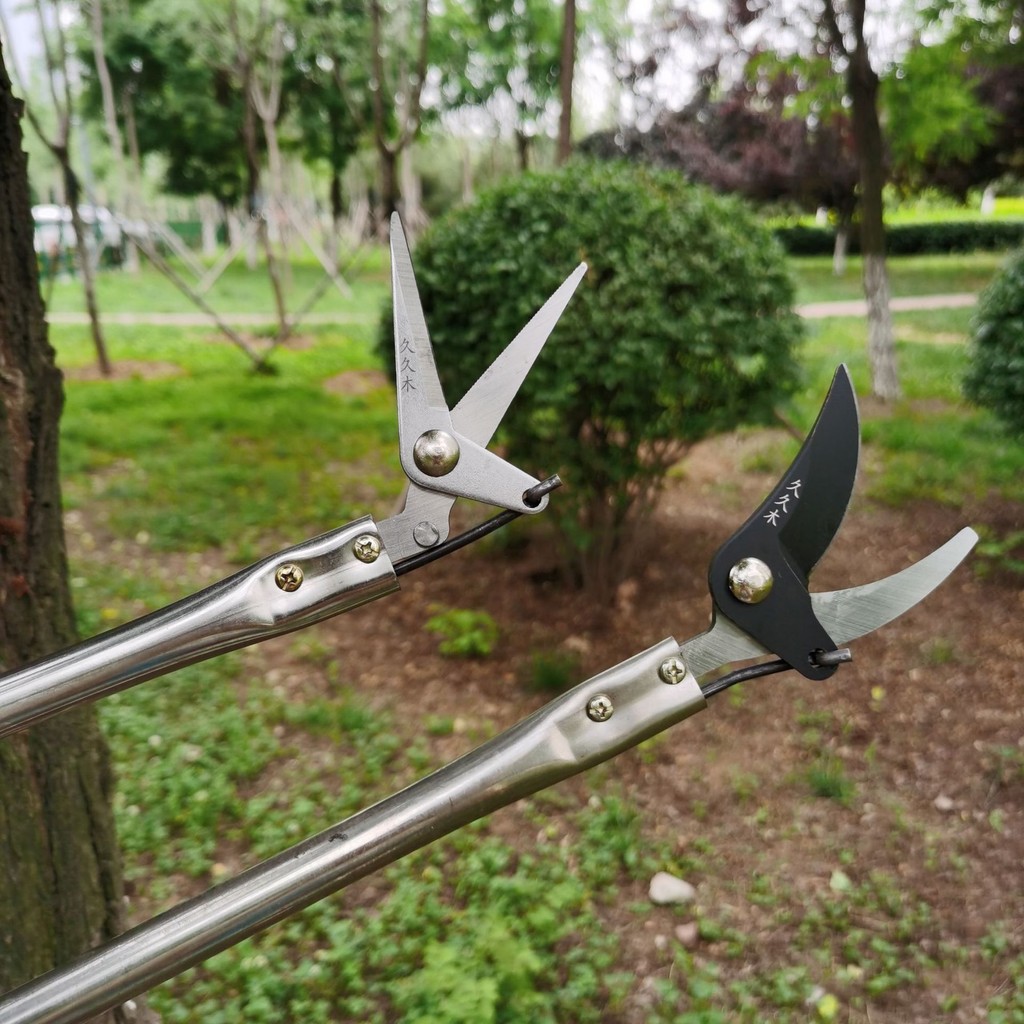 COD กรรไกรตัดกิ่ง กรรไกรตัดกิ่งไม้สูง กรรไกรตัดผลไม้ 3-in-1 หยิบ ตัด เลื่อย 1m/1.5m/2m - รูปที่ 5