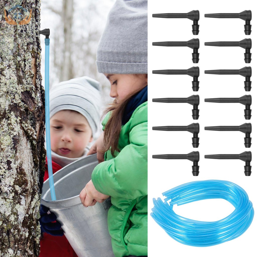 12 ชิ้น Maple Syrup Tree Extractor ชุดเครื่องมือพลาสติก Maple Syrup Tree Tapping Kit สําหรับคนรัก DI
