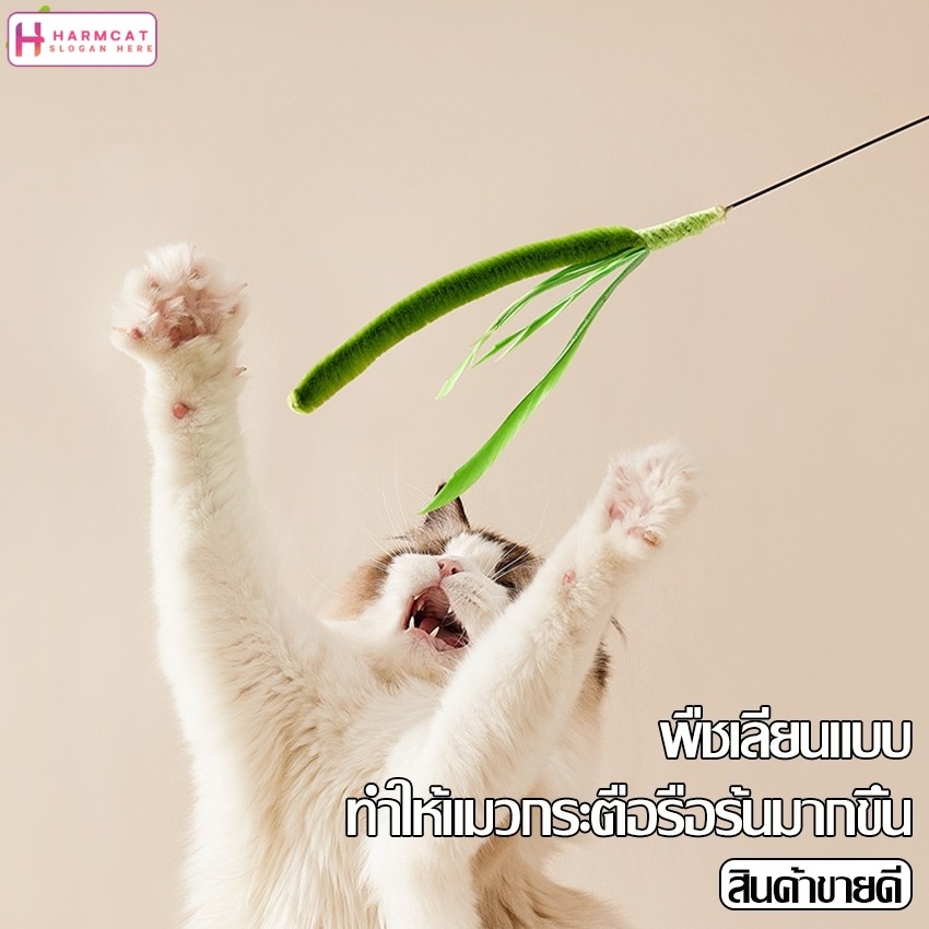Harmcat ไม้ตกแมว Cat Teaser ก้านยาว 50 cm ไม้ล่อแมว ของเล่นแมว ไม้ล่อแมวสปริง สำหรับสัตว์เลี้ยง