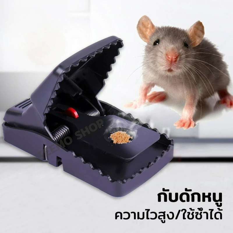 กับดักหนู ไม่ต้องใช้สารเคมี คลิปกับดัก ดักหนูนา อุปกรณ์ดักหนู ใช้ซ้ำได้ ความไวสูง mouse traps