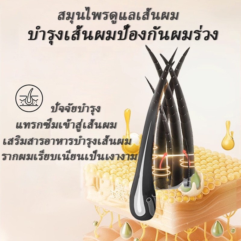 ซื้อ 1 แถม 1สินค้านำเข้าPEIMEI แชมพูแก้ผมร่วง แชมพูสมุนไพรขิงบำรุงผม 250ml แชมพูปลูกผม ยาสระผมแก้ร่วง แชมพูขิงเพียว - รูปที่ 4