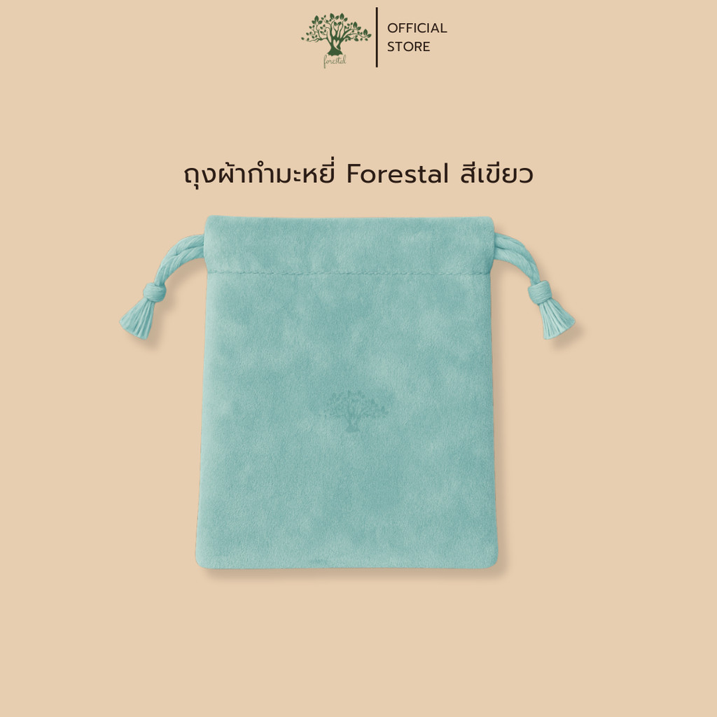 รูปภาพ 6