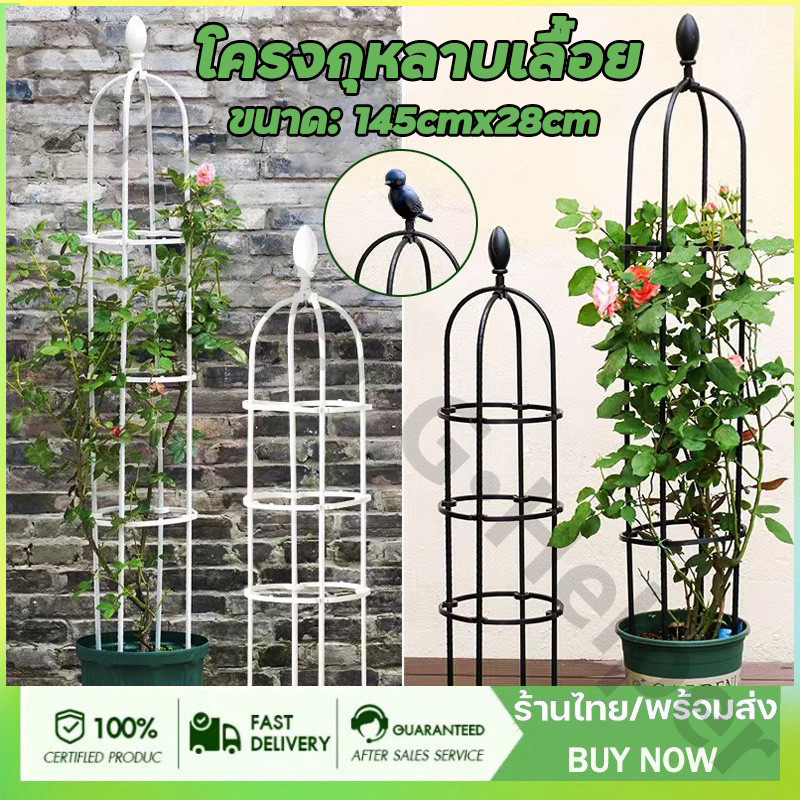 🌹ทนทาน🌹โครงกุหลาบ กันสนิม ซุ้มกุหลาบ โครงกุหลาบเลื้อย ซุ้มไม้เลื้อย 145cm*28cm