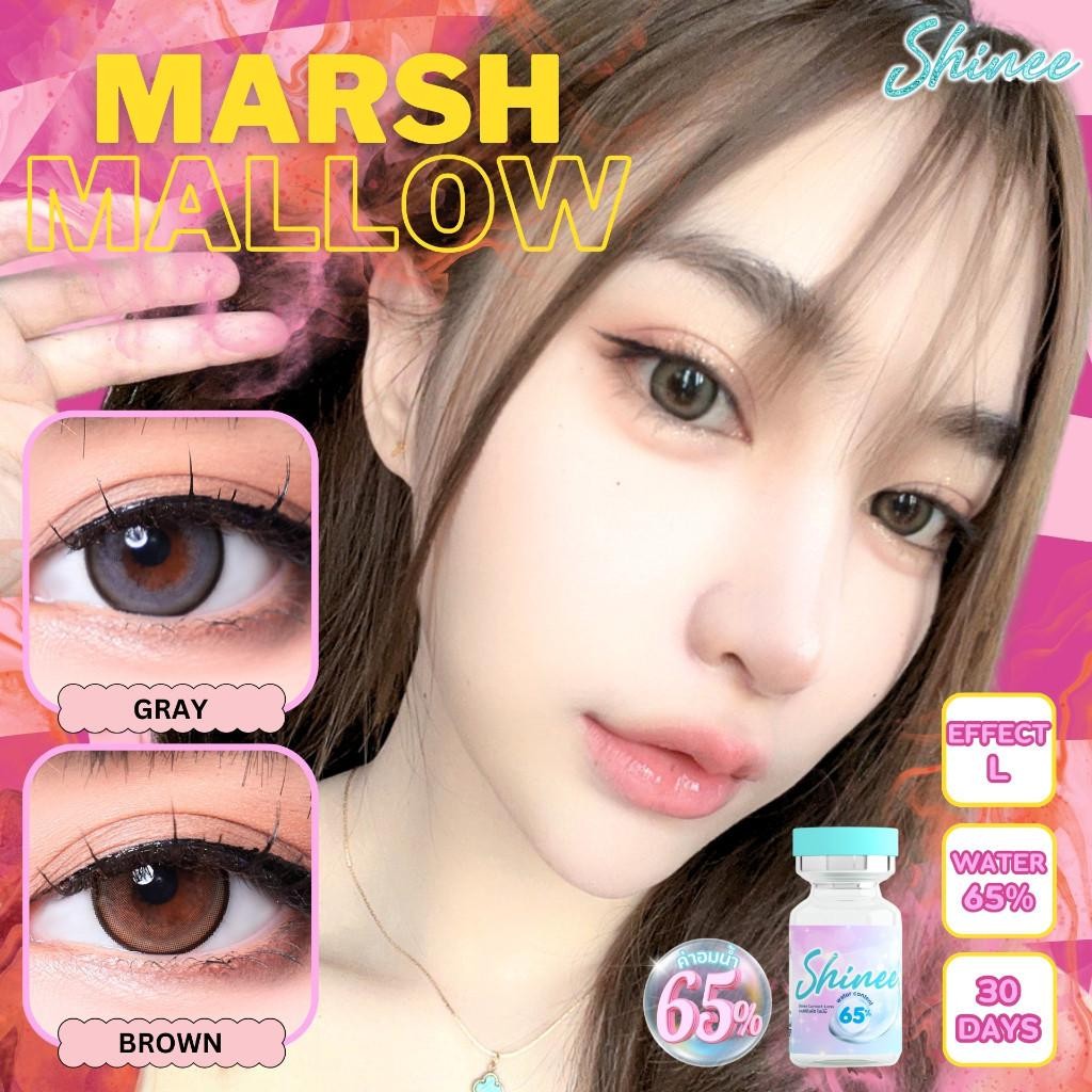 คอนแทคเลนส์[บิ๊กอาย] Marshmallow Brown / Gray (Shinee) ☁️ มี อย.ไทย
