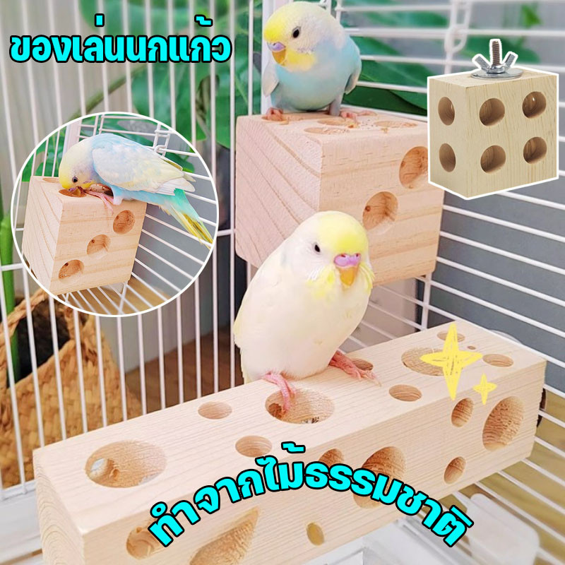 ของเล่นกัดแทะสำหรับนกแก้ว มีรูเยอะ กัดง่าย แก้เบื่อ ให้นกได้ใช้เวลา พลังงานในการเล่น ของเล่นนกแก้ว ทำจากไม้ธรรมชาติ