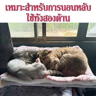 YTL ที่นอนสัตว์เลี้ยง ที่นอนสุนัข ที่นอนแมว พรมนอนสัตว์เลี้ยง เบาะรองนั่ง นุ่ม อุ่น นอนสบาย