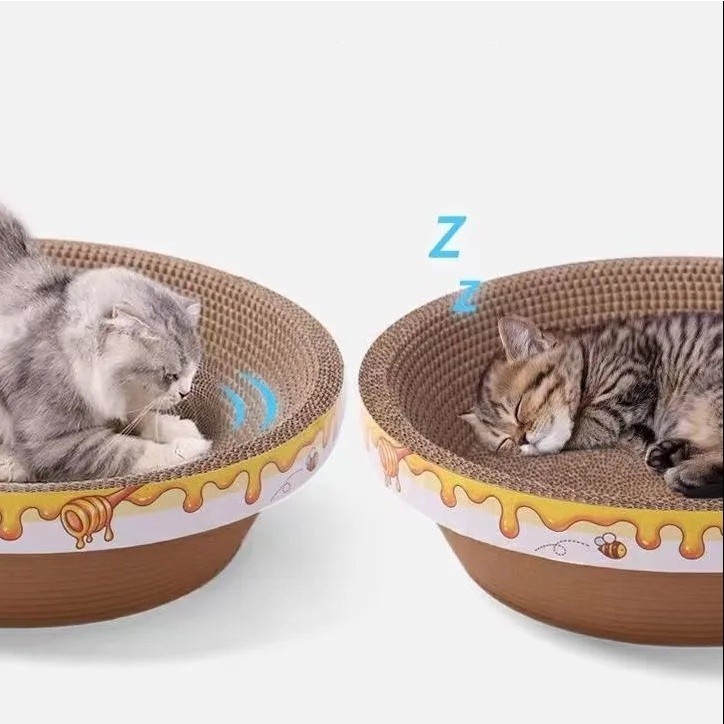 รูปภาพ 8