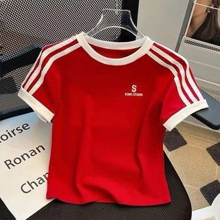 MF - Crop Top Wanita CHANA Knit Rib (LD 88, P 40)