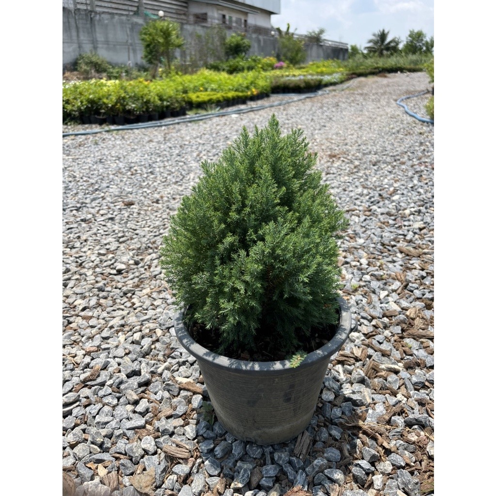 มุมมอง 2