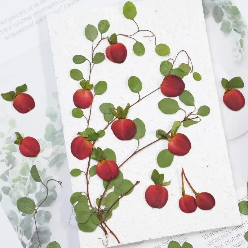 กดเชอร์รี่ผลไม้แห้ง-วัสดุงานฝีมือ ทําเอง สําหรับเรซิน,เคสโทรศัพท์,กรอบรูปและภาพวาดพืช - รูปที่ 2