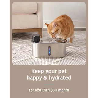 6PC ตัวกรองคาร์บอนที่เปิดใช้งานเรซินองค์ประกอบตัวกรองสําหรับน้ําพุแมว Purify น้ําสุนัขแมวตู้น้ําอุปกรณ์เสริม
