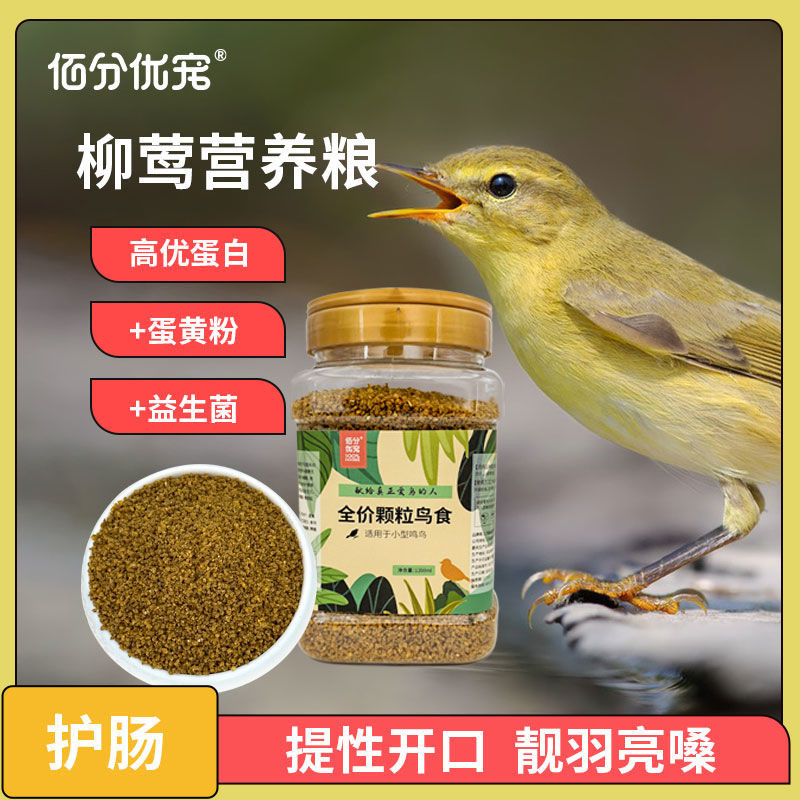 Willow Bird อาหารคิ้วสีเหลือง Willow Eyebrow Small Sparrow อาหาร Willow String Tree String เด็ก Locu