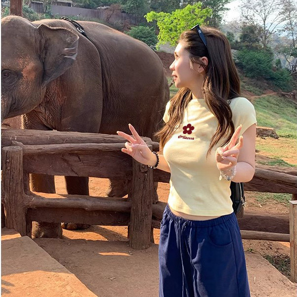 (COD+จัดส่ง 12 ชั่วโมง) เสื้อ summer● สไตล์เกาหลี Baby Tee ผ้าฝ้ายเกรดA+สกรีนเรียบง่าย  เสื้อครอปกระชับสวย ระบายอากาศดี