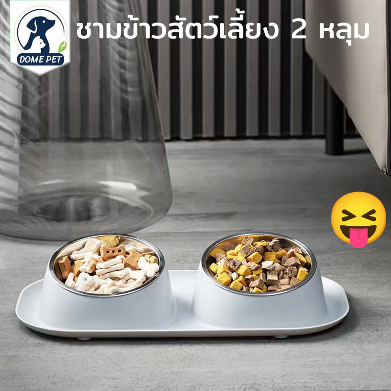 DOME PET ชามข้าวสัตว์เลี้ยง 2 หลุม แบบกันมด มาพร้อมชามแสตนเลส เอียง ถอดล้างได้