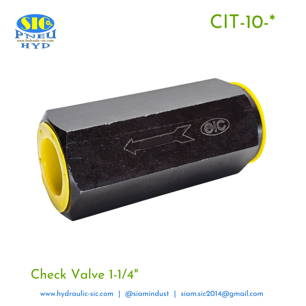 CIT-03,CIT-04,CIT-06,CIT-08,CIT-10 In Line Check Valves วาล์วกันกลับแบบต่อท่อ