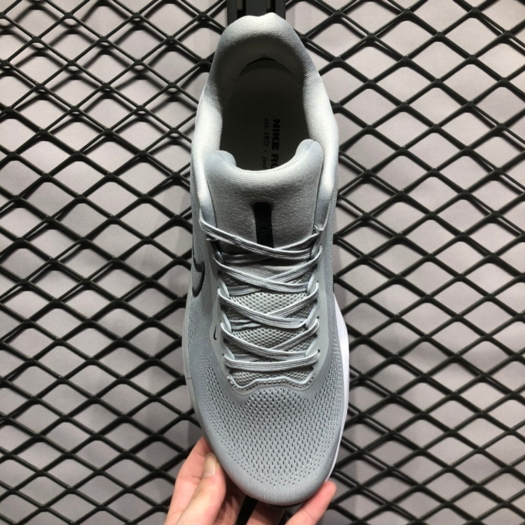 XHNike Air Zoom Pegasus41-xh