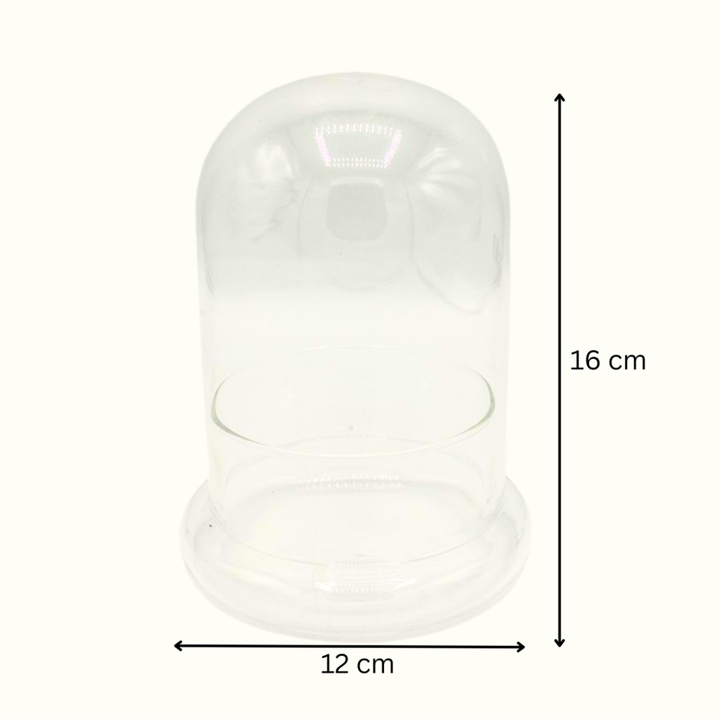 มุมมอง 5