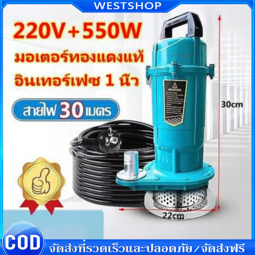 อัพเกรดสาย 30m ไดโว่ดูดน้ำ 1 นิ้ว ไดโว่ ปั๊มน้ำ ไดโว่ดูดโคลน 550W ปั๊มแช่ไฟฟ้า ปั๊มน้ำแรงดันสูง ไดร์