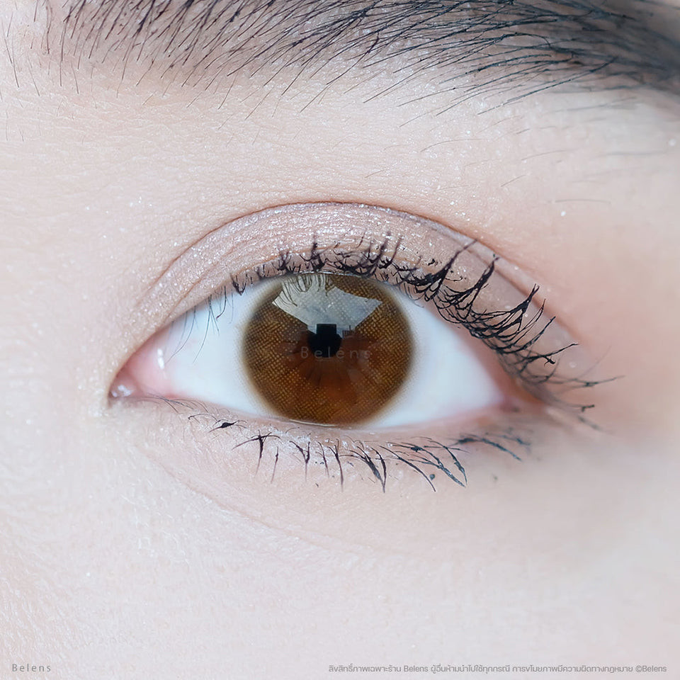 💥แถมตลับ food grade - รุ่น New york (Brown) Shinee คอนแทคเลนส์ //มีส่งด่วน🚚