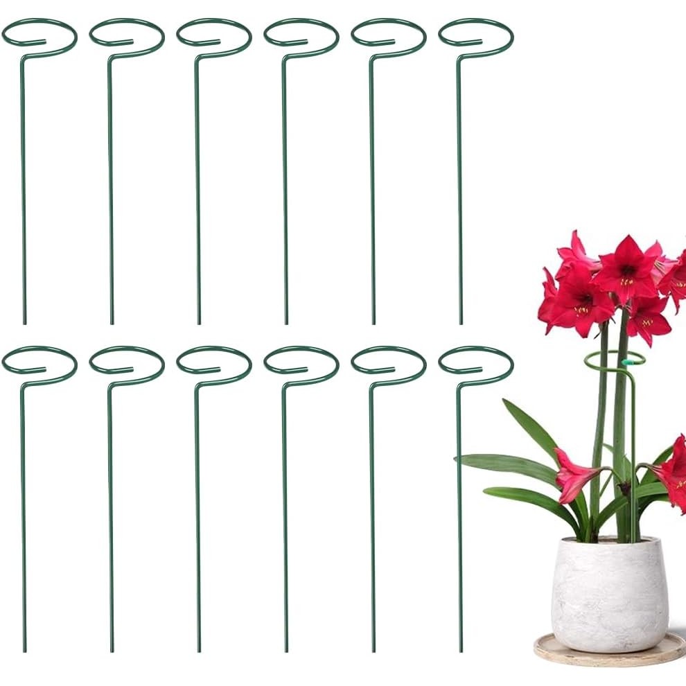 ไม้ค้ำต้นไม้แบบเกลียว Helix Plant Support 16 24 36 Inch สำหรับมะเขือเทศ ดอกไม้ และไม้เลื้อย