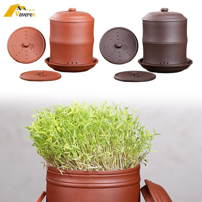 [Vaveren] Sprouting Jar Nursery Pot อุปกรณ์บ้านสวนอเนกประสงค์ Seed Sprouting