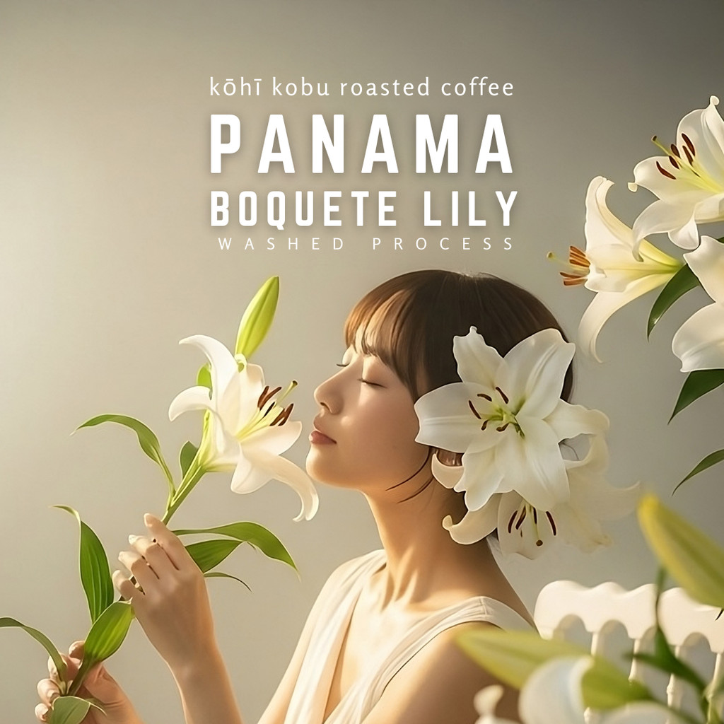 Panama Boquete Lily Washed | ปานามาโบเกเต้ลิลลี่วอช | เมล็ดกาแฟคั่วสดใหม่จาก kohi kobu