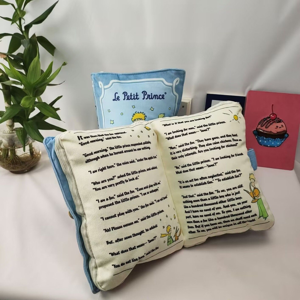 หนังสือ หมอนสร้างสรรค์โซฟาเบาะของขวัญวันเกิด