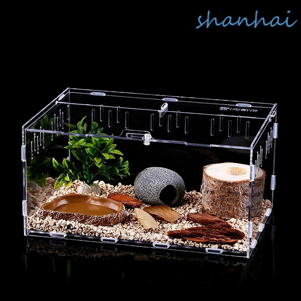 Shanhai Hatching Terrariums อะคริลิค Professional กล่อง Hatcher คอนเทนเนอร์งูกบแมลงอุปกรณ์