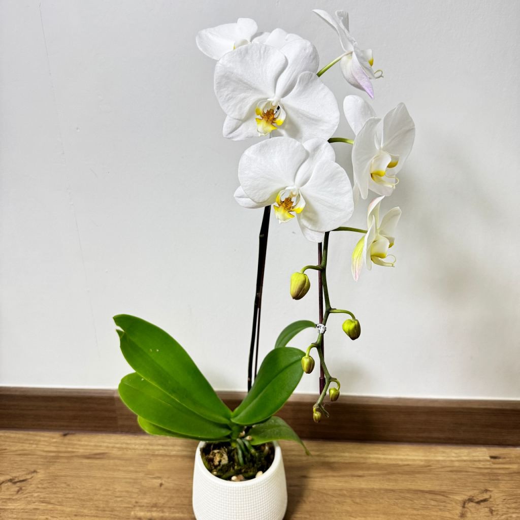 มุมมอง 2