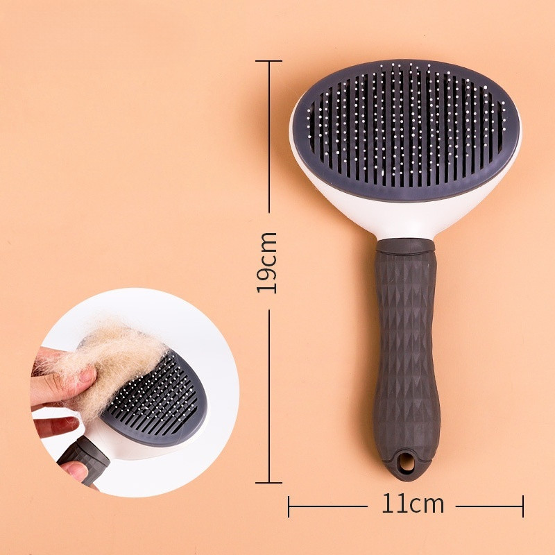 รูปภาพ 4