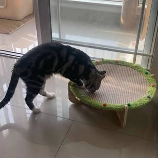 Pet Space เตียงสัตว์เลี้ยง เตียงแมว ผ้าป่านศรนารายณ์ระบายอากาศดี สามารถเหลาเล็บ ทนทาน พร้อมใช้งานในสี่ฤดูกาล