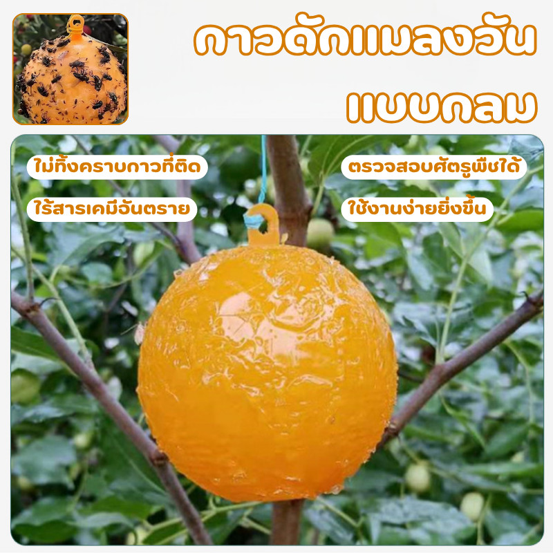 🔥รุ่นอัพเกรด 🔥ได้ผล3ปี🦟ลูกบอลดักแมลง กวาทรงพลัง กันน้ำกันแดด กาวดักแมลงหวี่ ที่ดักแมลงวันทอง กาวดักแมลงวัน ไม่ละลายกาว