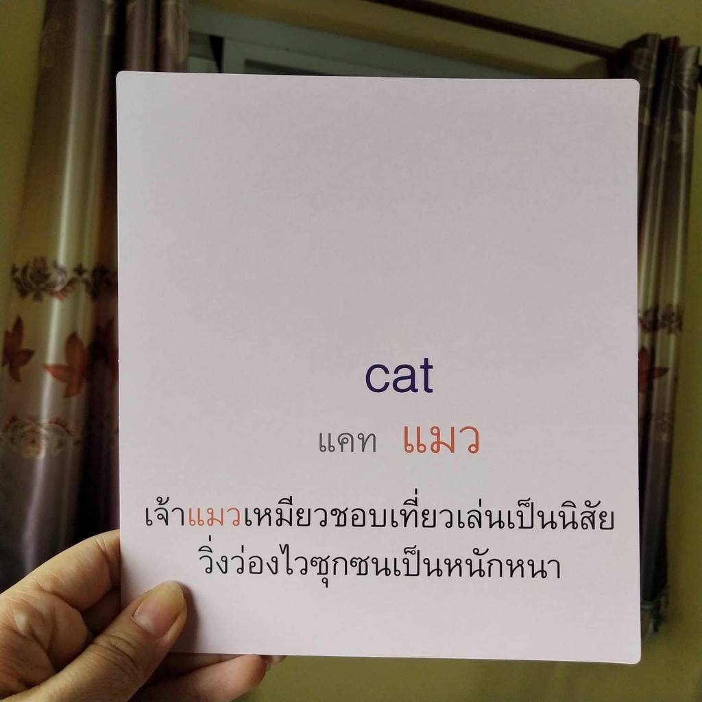 Big card สัตว์น่ารัก 22 ใบ แฟลชการ์ด Flash Card Animal  บัตรคำ เสริมพัฒนาการ flashcard - รูปที่ 3
