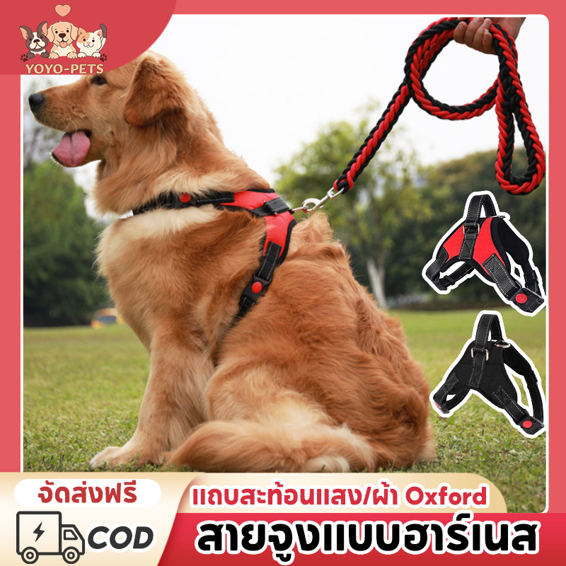 สายจูงสุนัข สายรัดอกสุนัข เสื้อรัดอกสัตว์เลี้ยง พันธุ์กลาง-ใหญ่ Dog Harness รูปตัวYแบบสะท้อนแสง