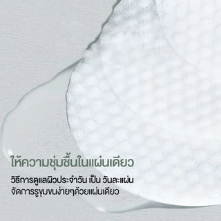 cokki Tea Tree Toner Pad 65 Pads ค็อกกี้ โทนเนอร์แพด.