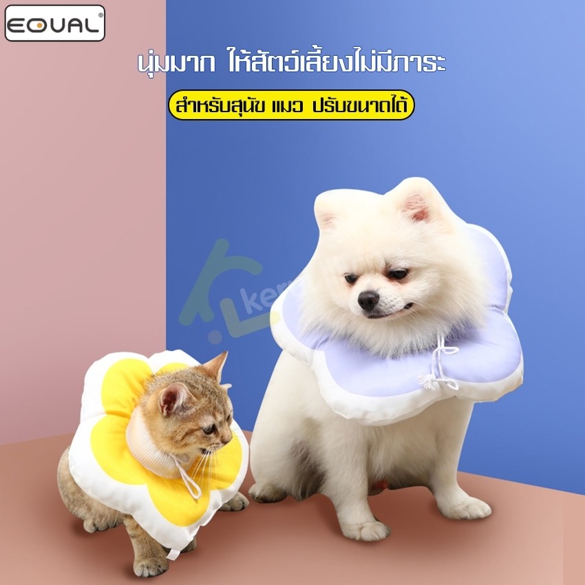 EQUAL ลำโพงกันเลีย รูปดอกไม้ ปลอกคอสัตว์เลี้ยง คอลล่าสุนัข แมว ปลอกคอกันเลีย