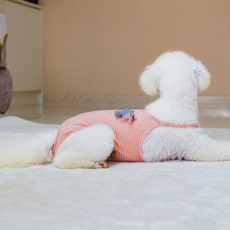 Pet Menstrual Panties Female Canine One-Piece Strap Teddy Sanitary Panty Dog Sanitary Pads Anti-Hara