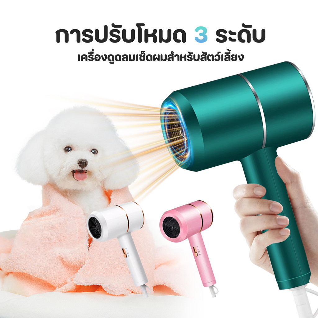 2800W ต่ำเสียงสัตว์เลี้ยงตัวเป่าลูกสุนัขตัวเป่าแมวเสียงต่ำเสียงต่ำผมฟาสต์เพ็ทเลี้ยงสัตว์เลี้ยงให้แห้ง - รูปที่ 5