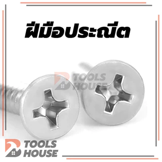 Flat Head Phillip Tapping Screw สกรูเกลียวปล่อยสกรู สแตนเลส ทุกความยาว เกรด304