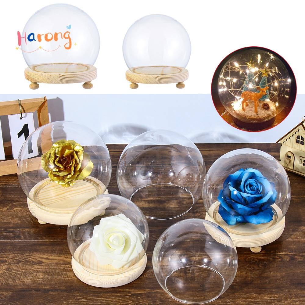 Harong ฝาครอบกันฝุ่นพืชตกแต่งบ้านทรงกลมขวดใสแจกันแก้ว Jar ฐานไม้